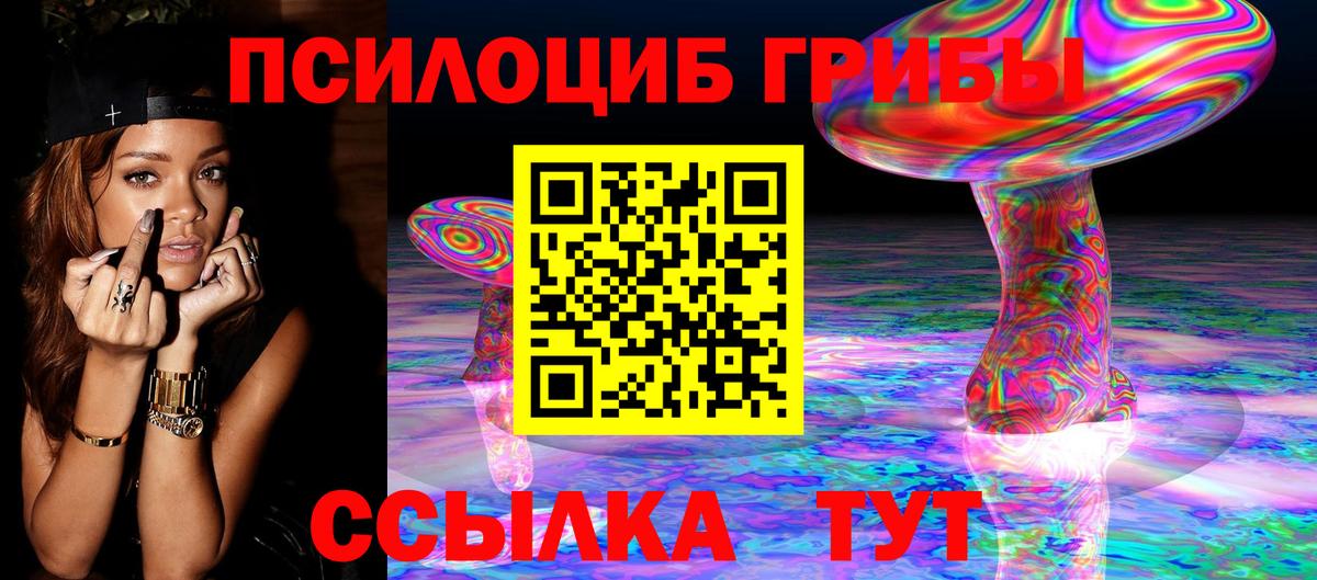 Псилоцибиновые грибы GOLDEN TEACHER Вязники