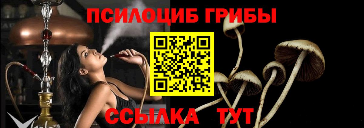 Вязники  Псилоцибиновые грибы прущие грибы  Вход с VPN 
